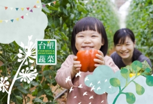台塑環保生態農場網頁設計