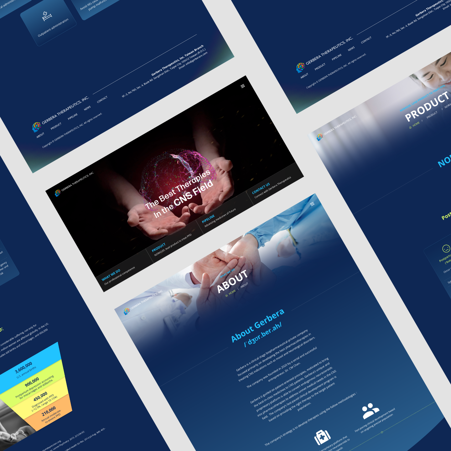 gerbera-web-design